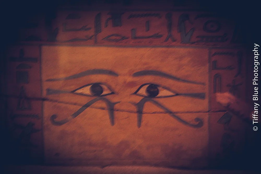 untitled (6 of 73).jpg