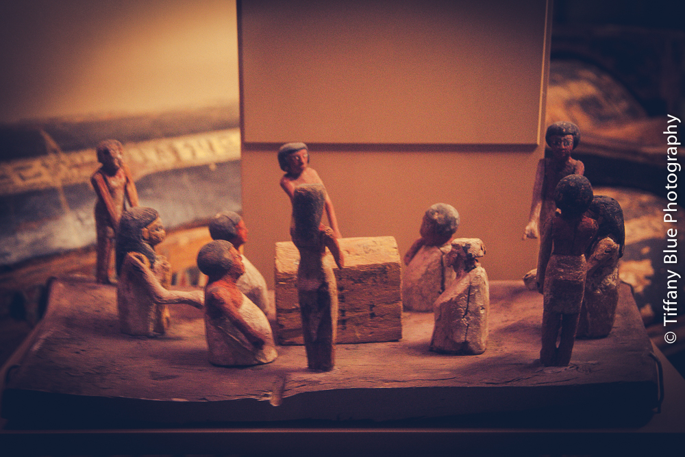 untitled (8 of 73).jpg