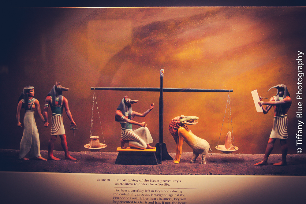 untitled (9 of 73).jpg