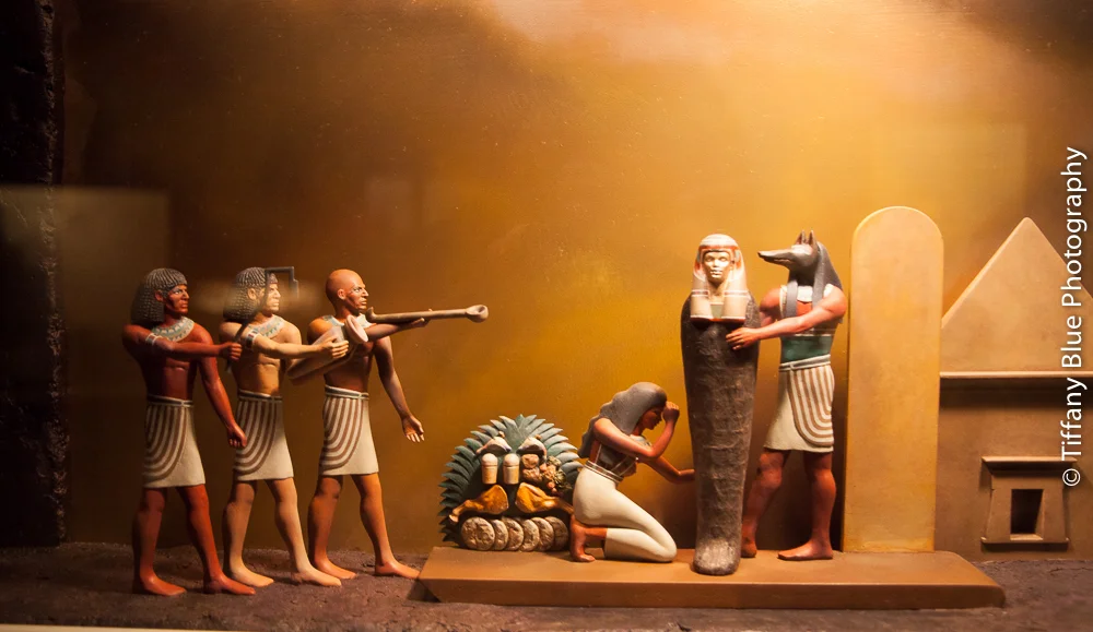 untitled (11 of 73).jpg