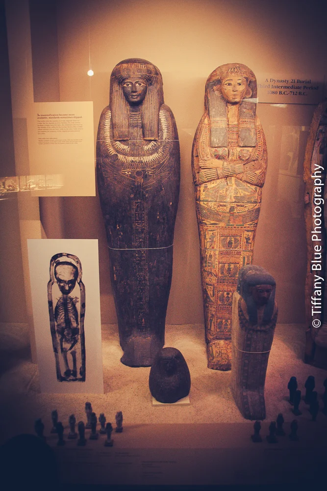 untitled (13 of 73).jpg