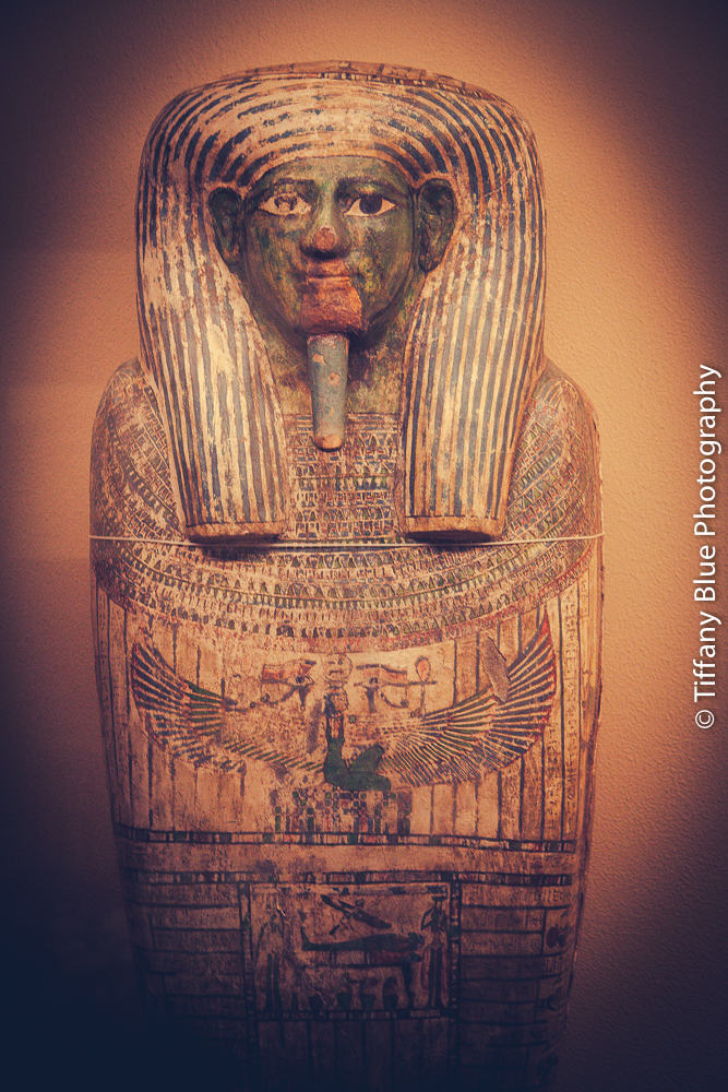 untitled (15 of 73).jpg