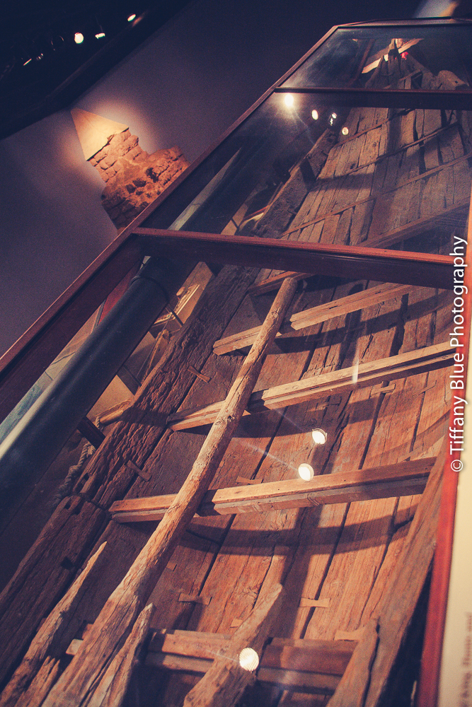 untitled (16 of 73).jpg