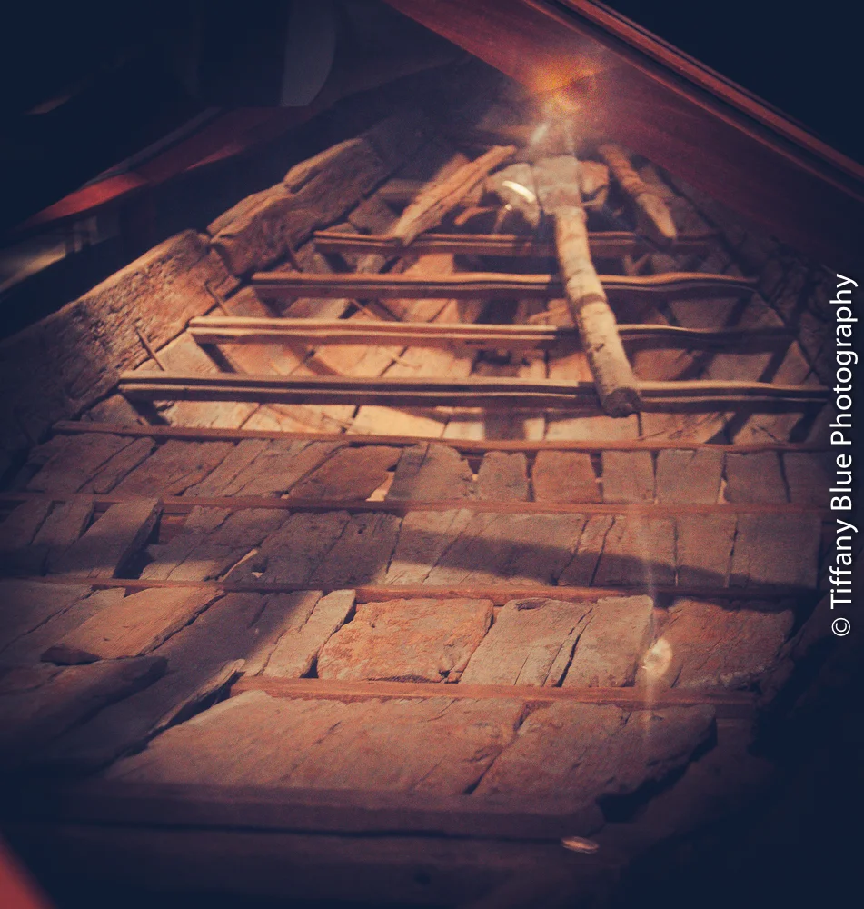 untitled (18 of 73).jpg