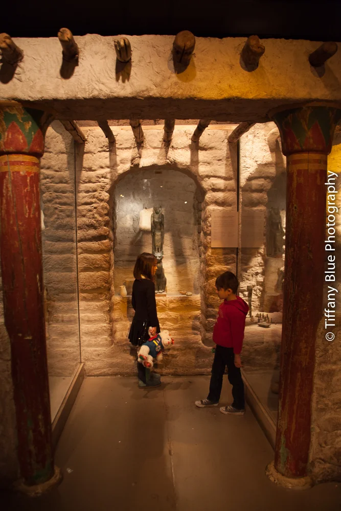 untitled (23 of 73).jpg