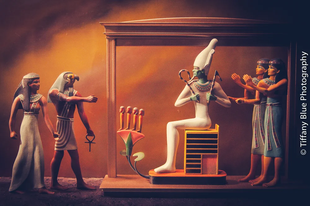 untitled (10 of 73).jpg