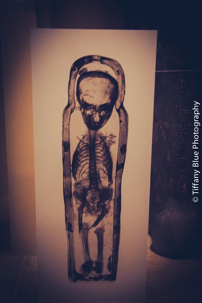 untitled (12 of 73).jpg