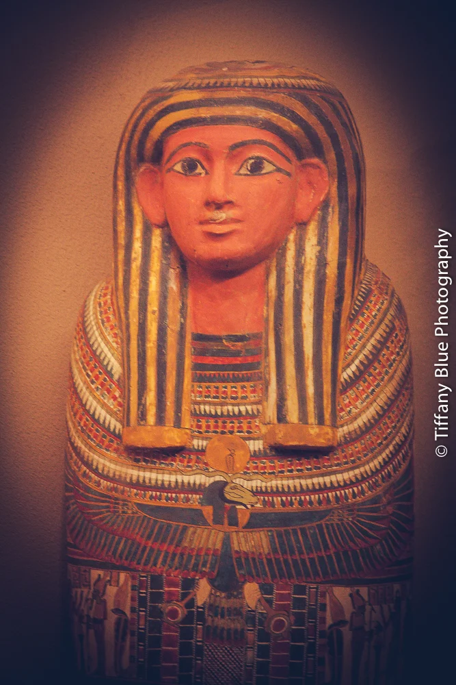 untitled (14 of 73).jpg