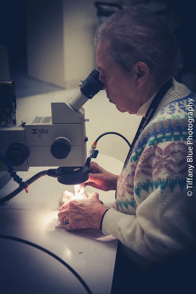 untitled (32 of 73).jpg