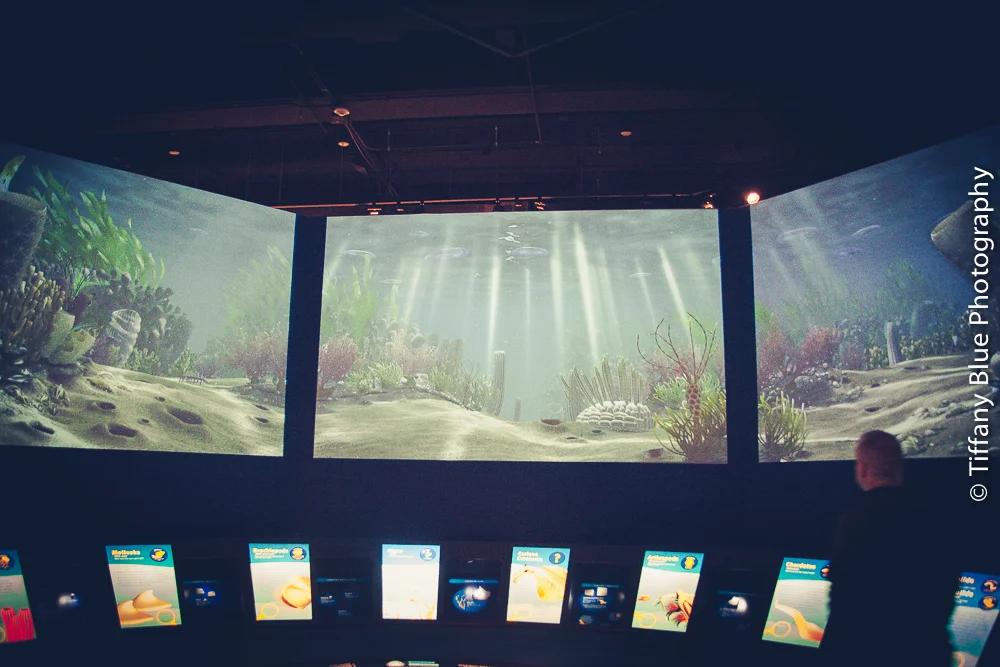 untitled (35 of 73).jpg