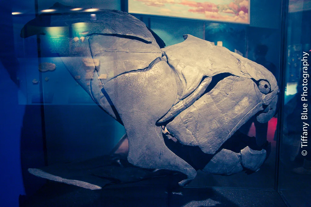 untitled (39 of 73).jpg