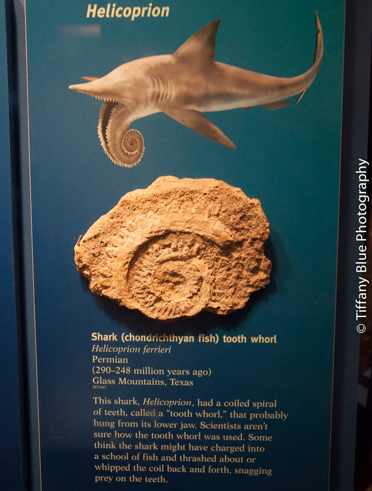 untitled (41 of 73).jpg