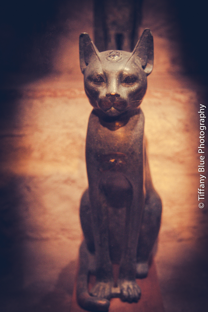 untitled (25 of 73).jpg