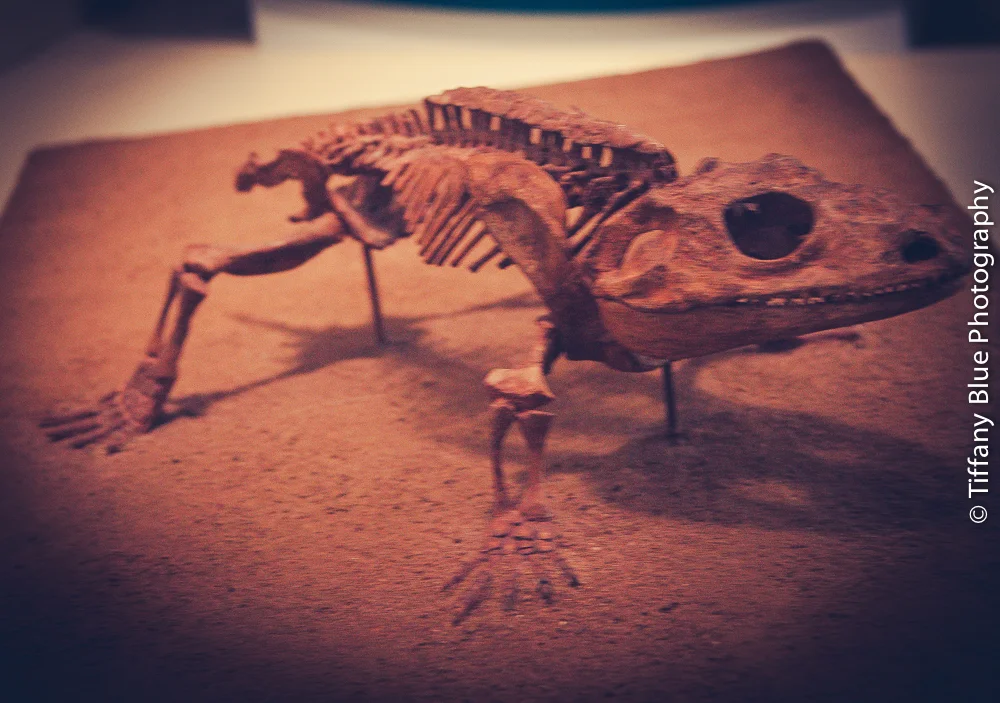 untitled (42 of 73).jpg