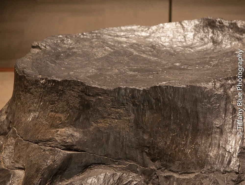 untitled (28 of 73).jpg