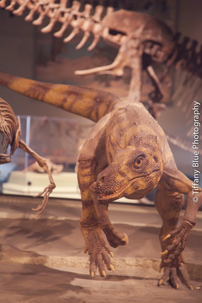 untitled (45 of 73).jpg