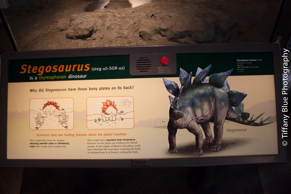 untitled (48 of 73).jpg