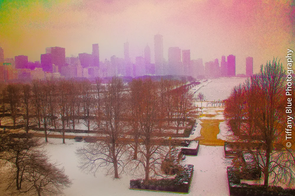 untitled (50 of 73).jpg