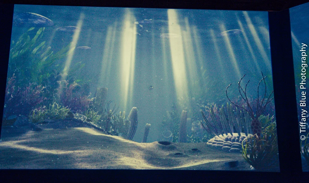 untitled (36 of 73).jpg