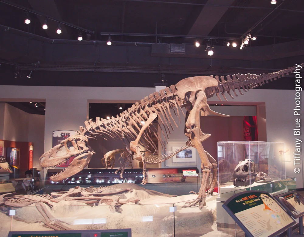 untitled (54 of 73).jpg