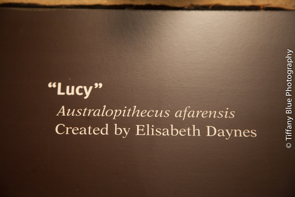 untitled (61 of 73).jpg