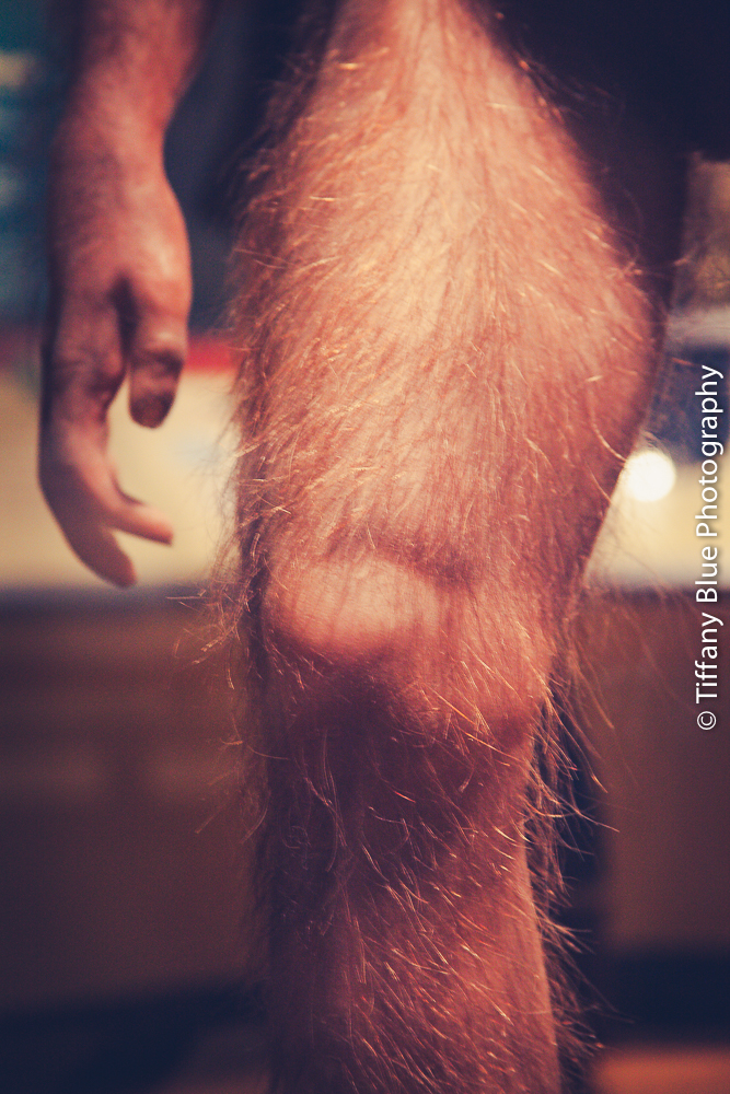 untitled (63 of 73).jpg