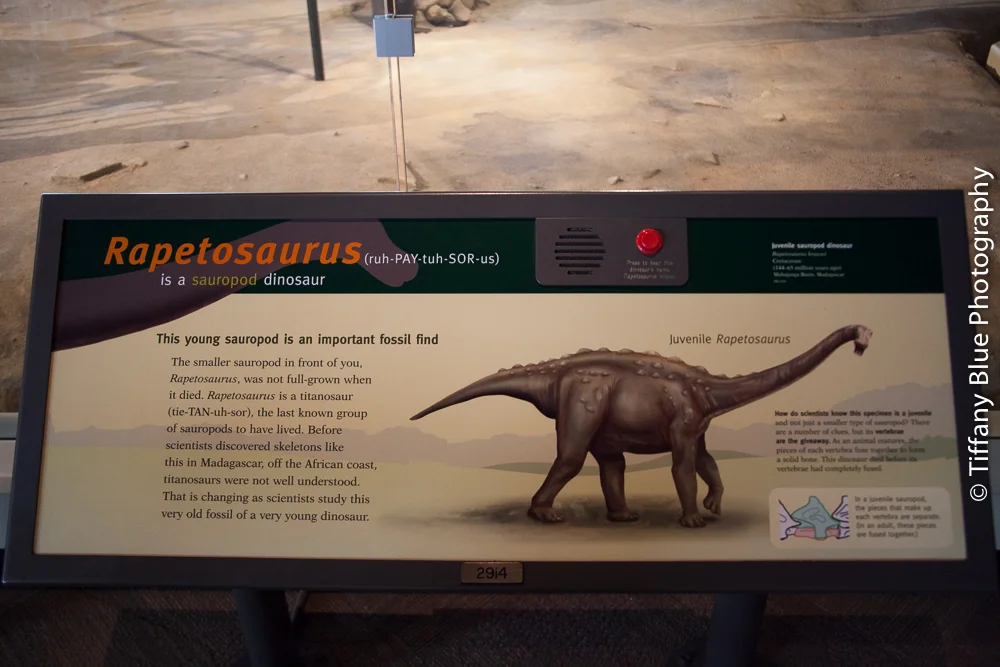 untitled (49 of 73).jpg