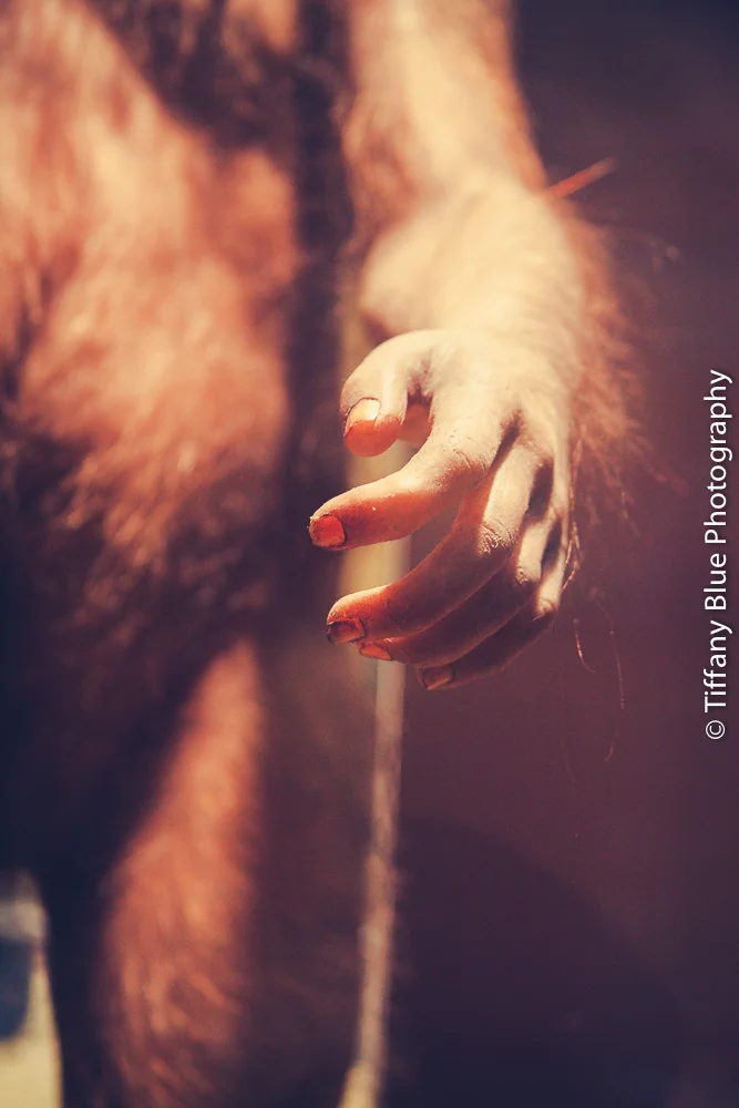 untitled (65 of 73).jpg