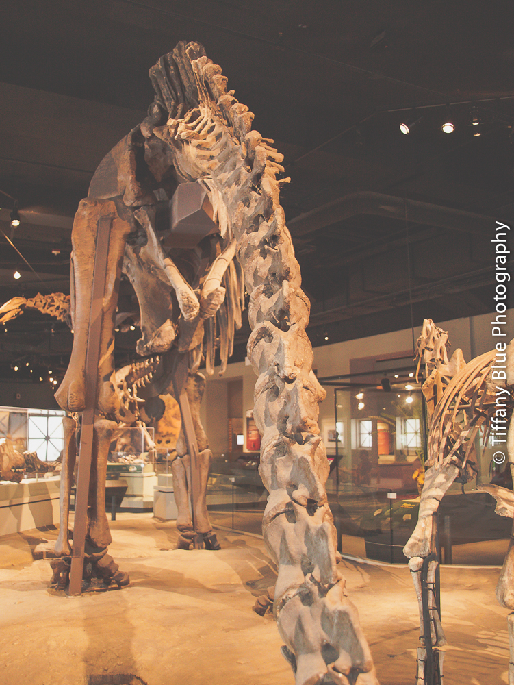 untitled (51 of 73).jpg