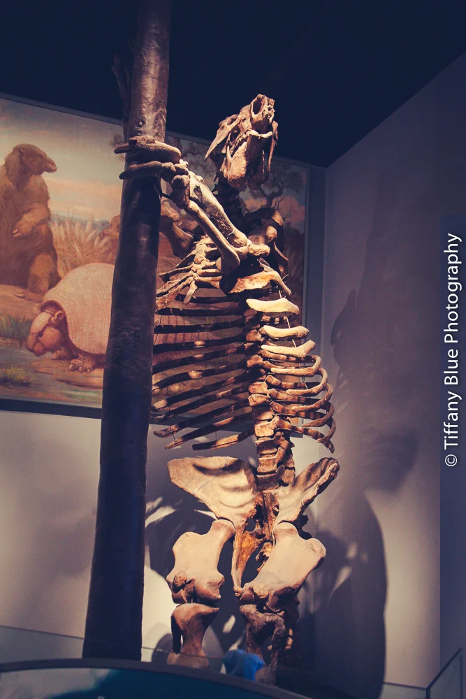 untitled (70 of 73).jpg