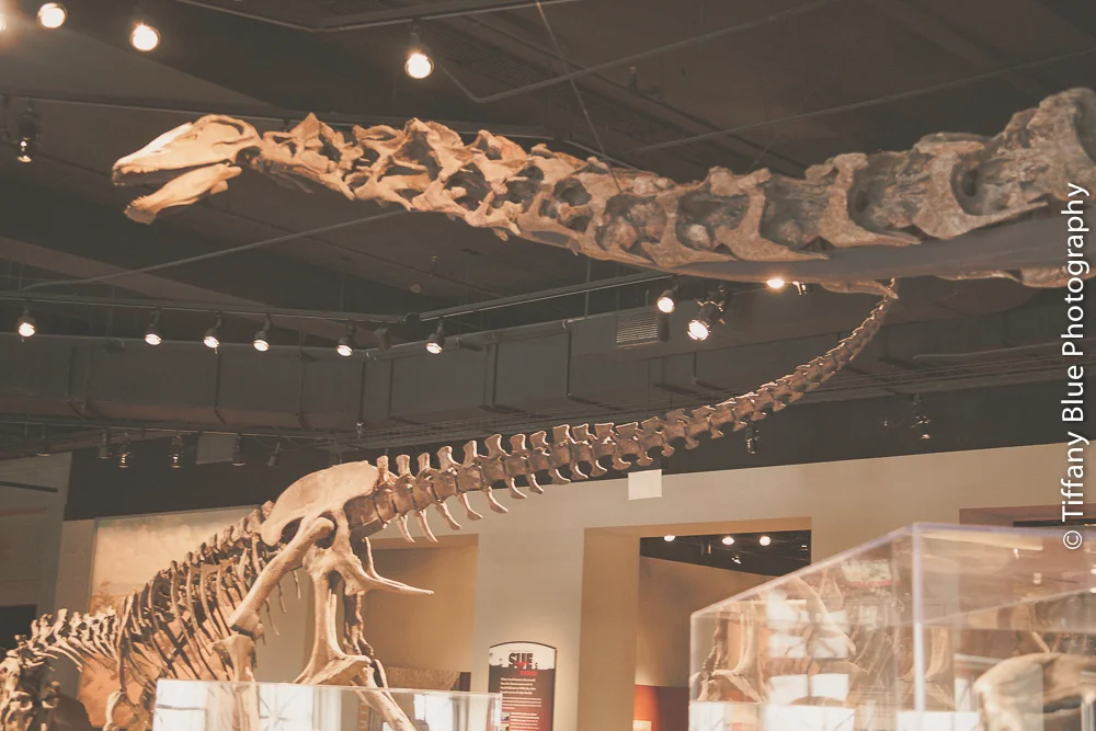 untitled (52 of 73).jpg