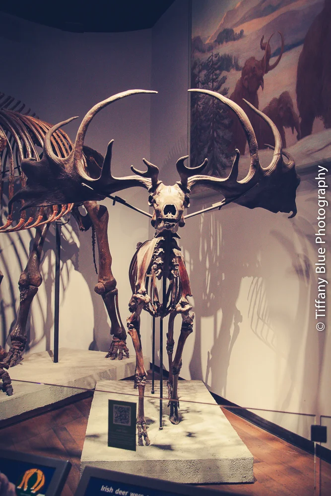 untitled (72 of 73).jpg