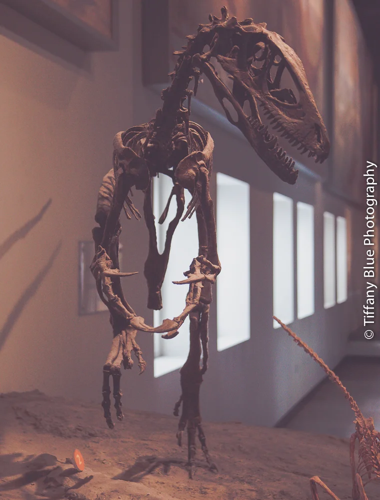 untitled (53 of 73).jpg