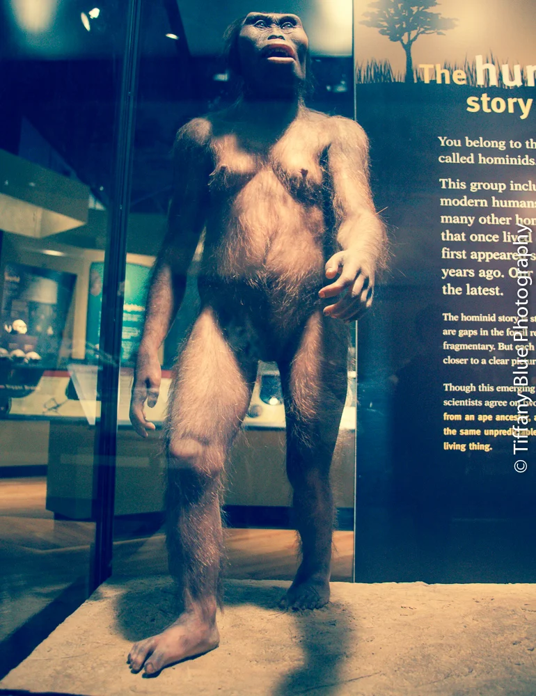 untitled (60 of 73).jpg