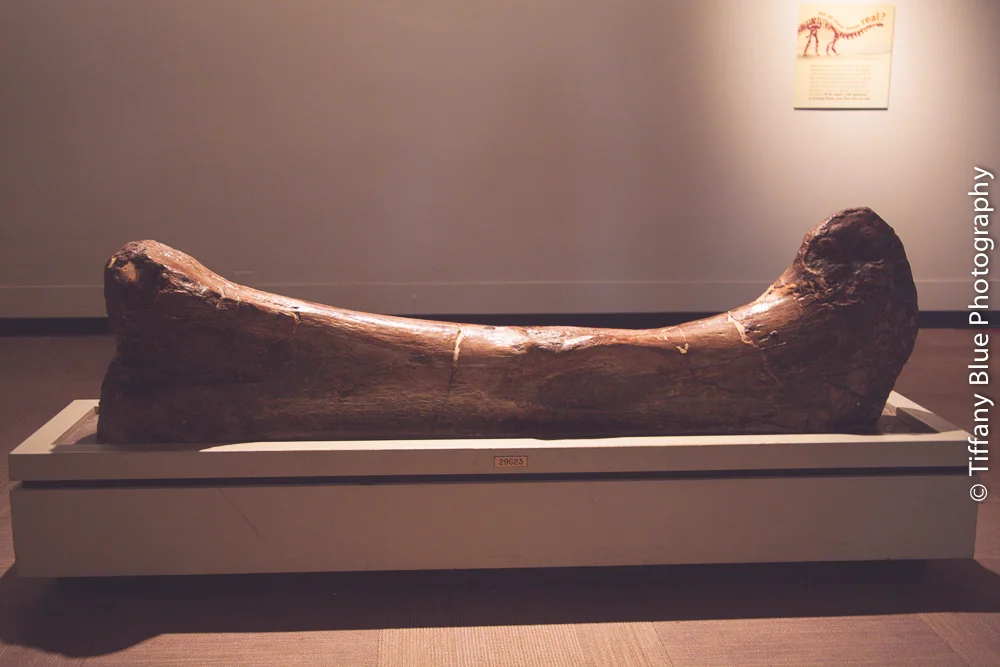 untitled (58 of 73).jpg