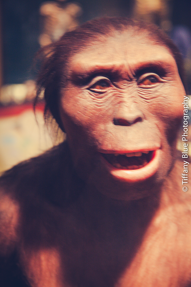 untitled (66 of 73).jpg