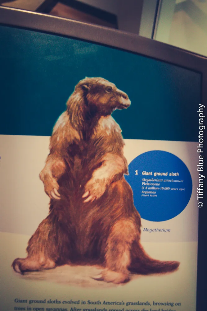 untitled (69 of 73).jpg