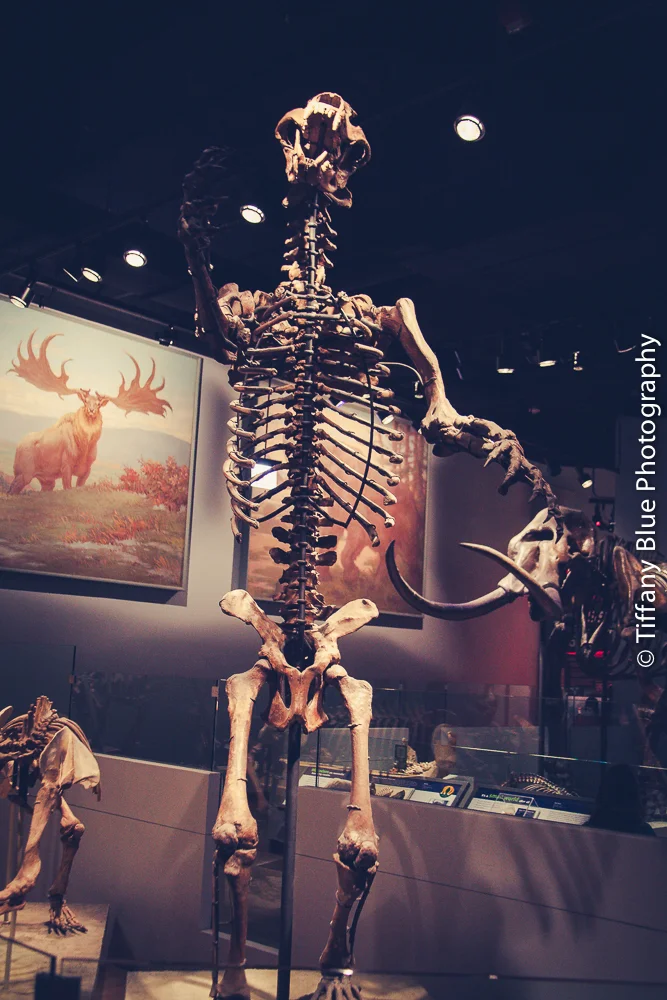 untitled (71 of 73).jpg