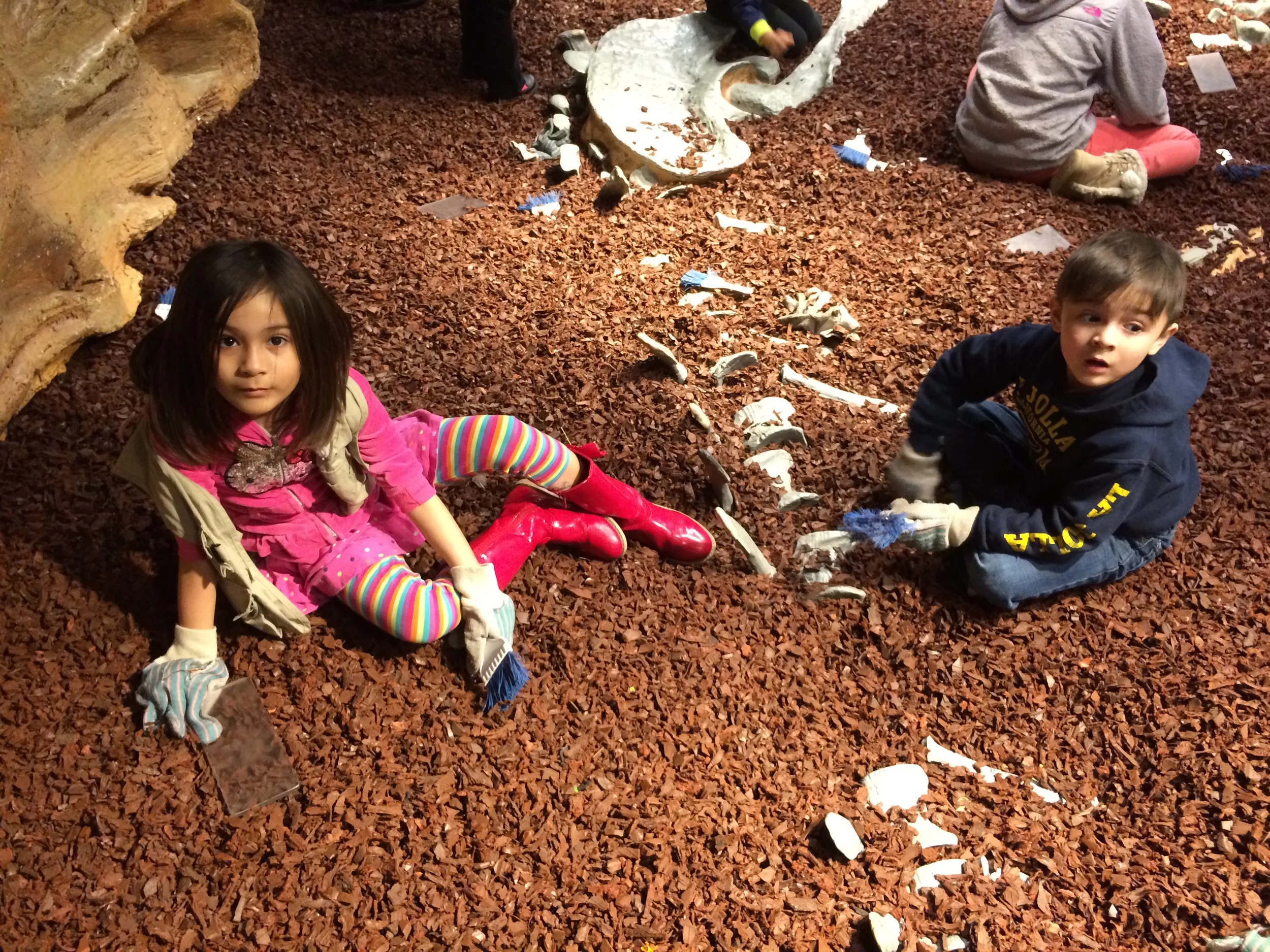 Find me on Thumbtack.com?