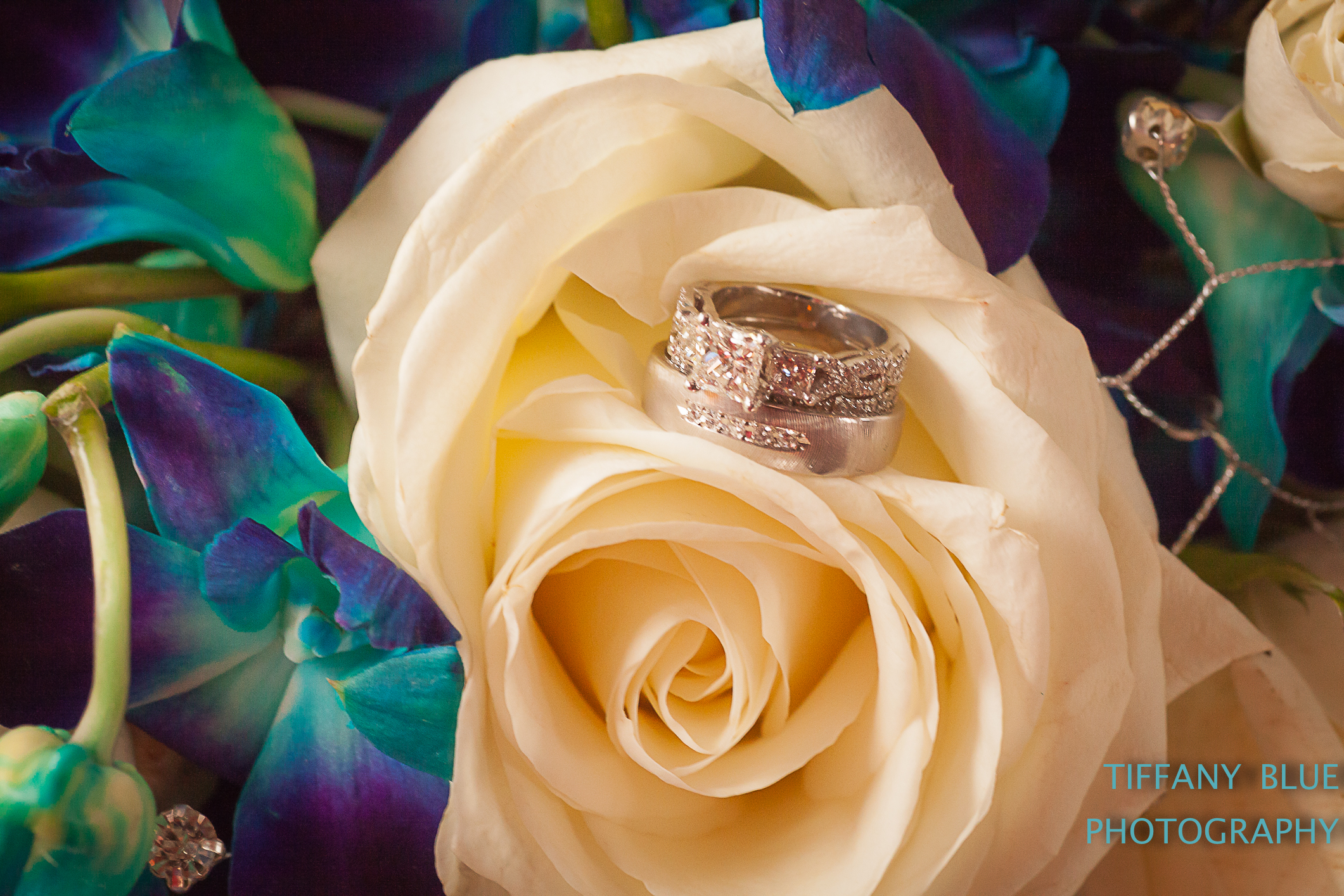 Chris & Nicole's Wedding (1 of 76).jpg