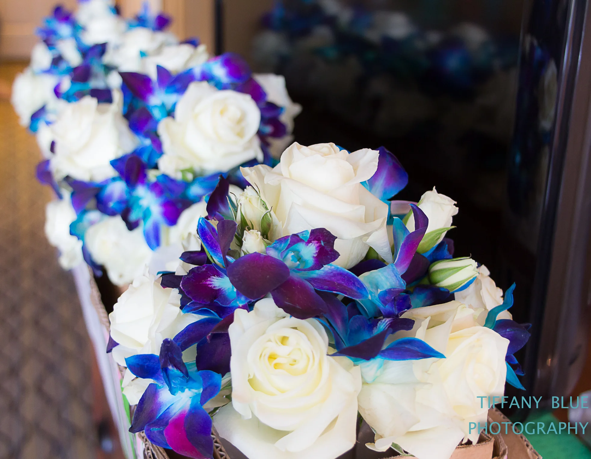 Chris & Nicole's Wedding (67 of 76).jpg