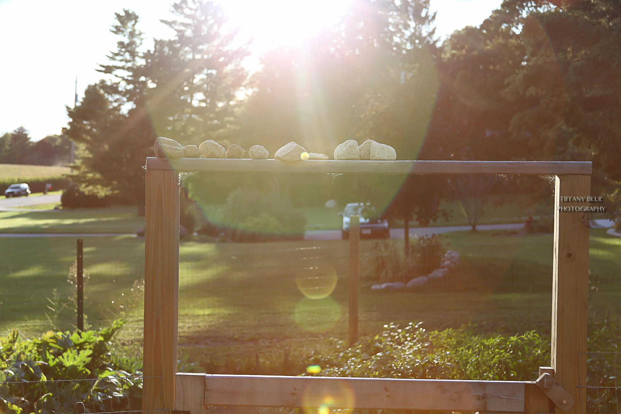 Jamie + Joe.Blog-67.jpg