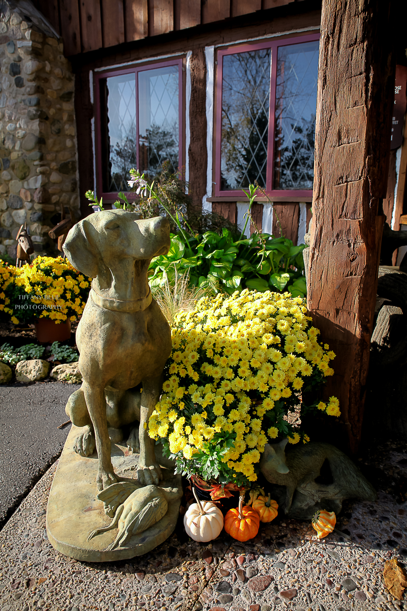 Brian&Jill (3 of 40).jpg