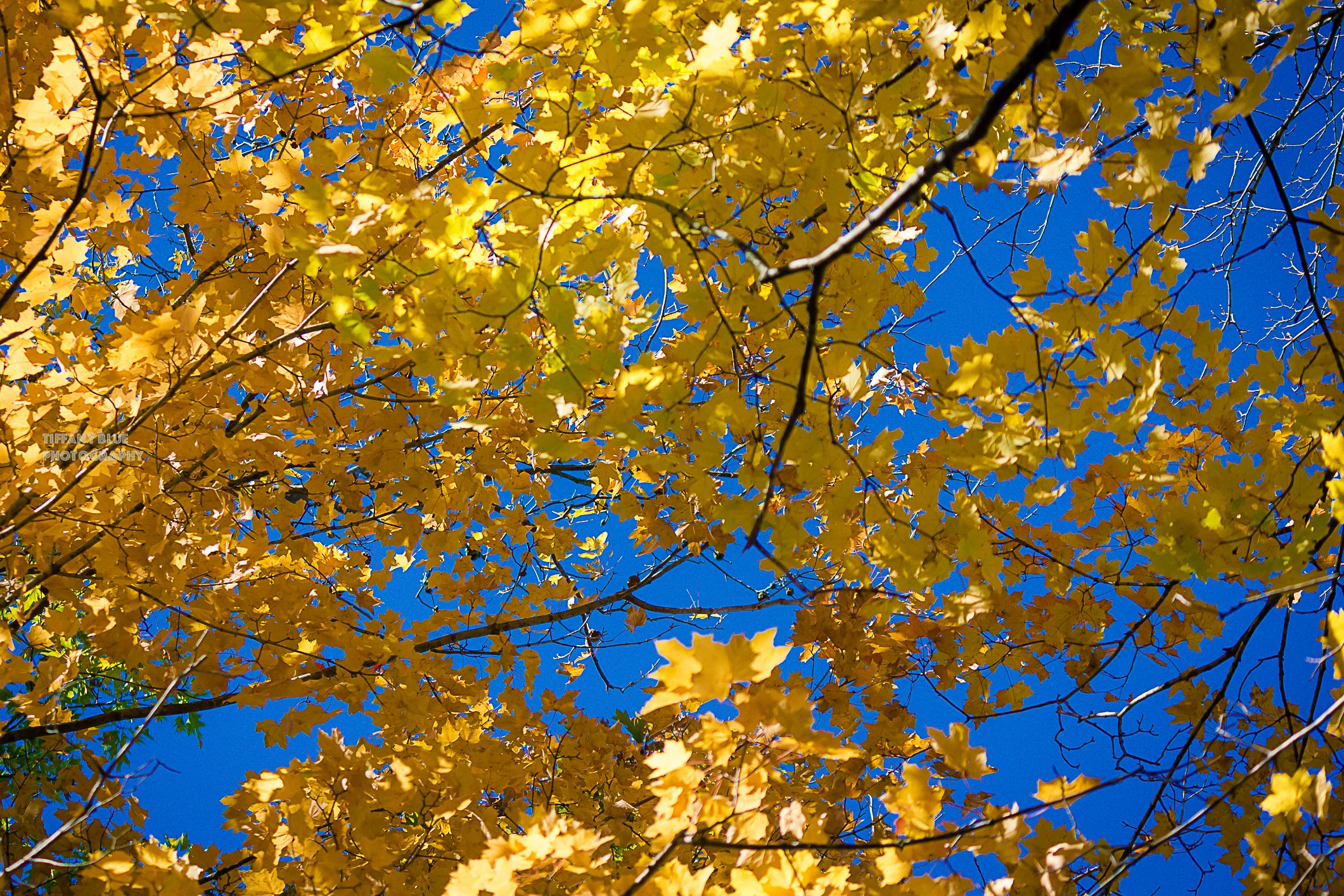 Paul + Heather Engagement (68 of 44).jpg