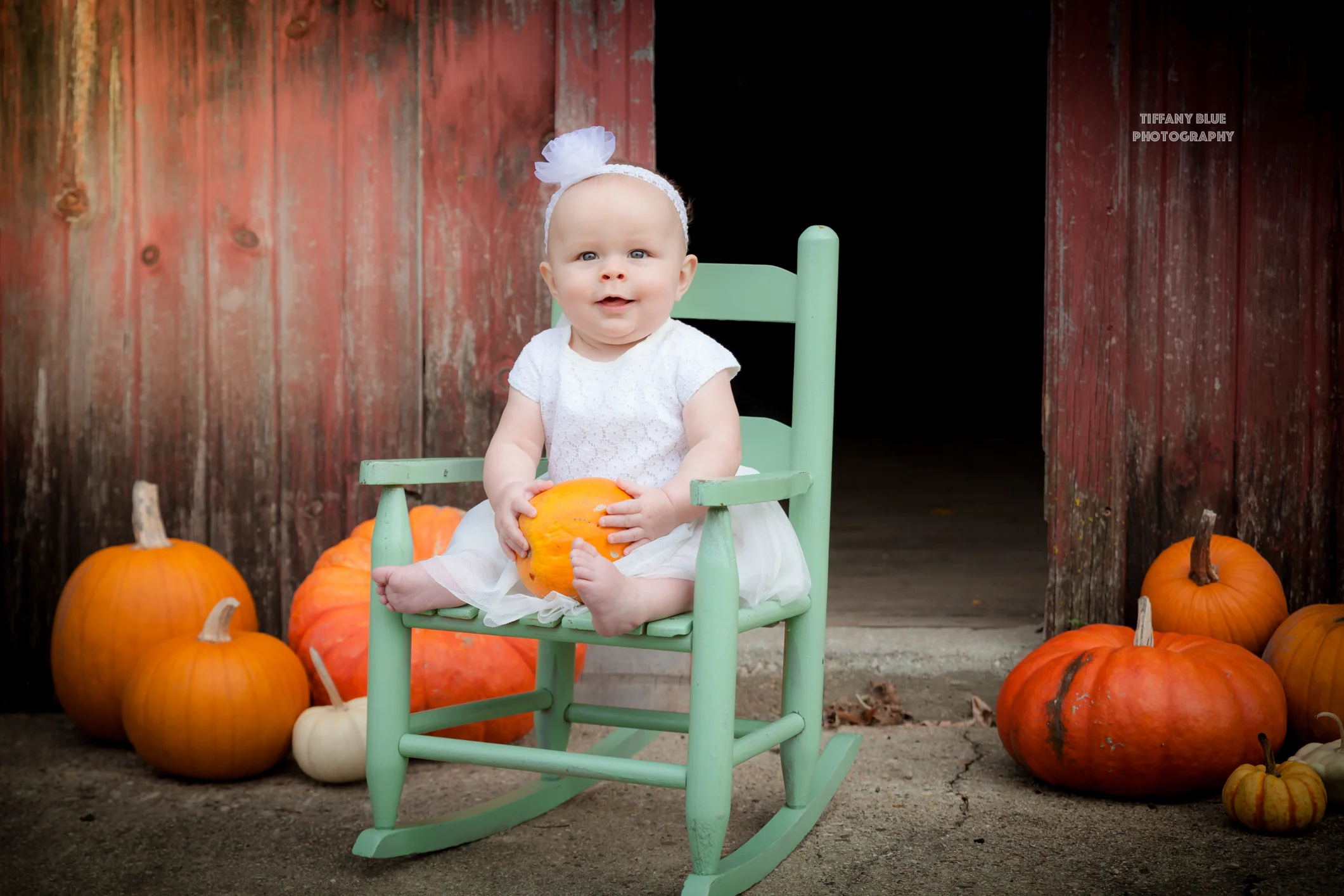 Meet Blair Boehlke | 6 Month Old Milestone Session | Germantown, Wisconsin