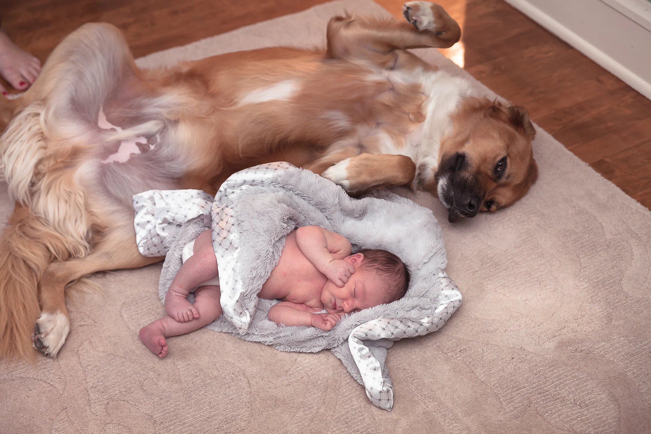 Gintoft (74 of 83).jpg