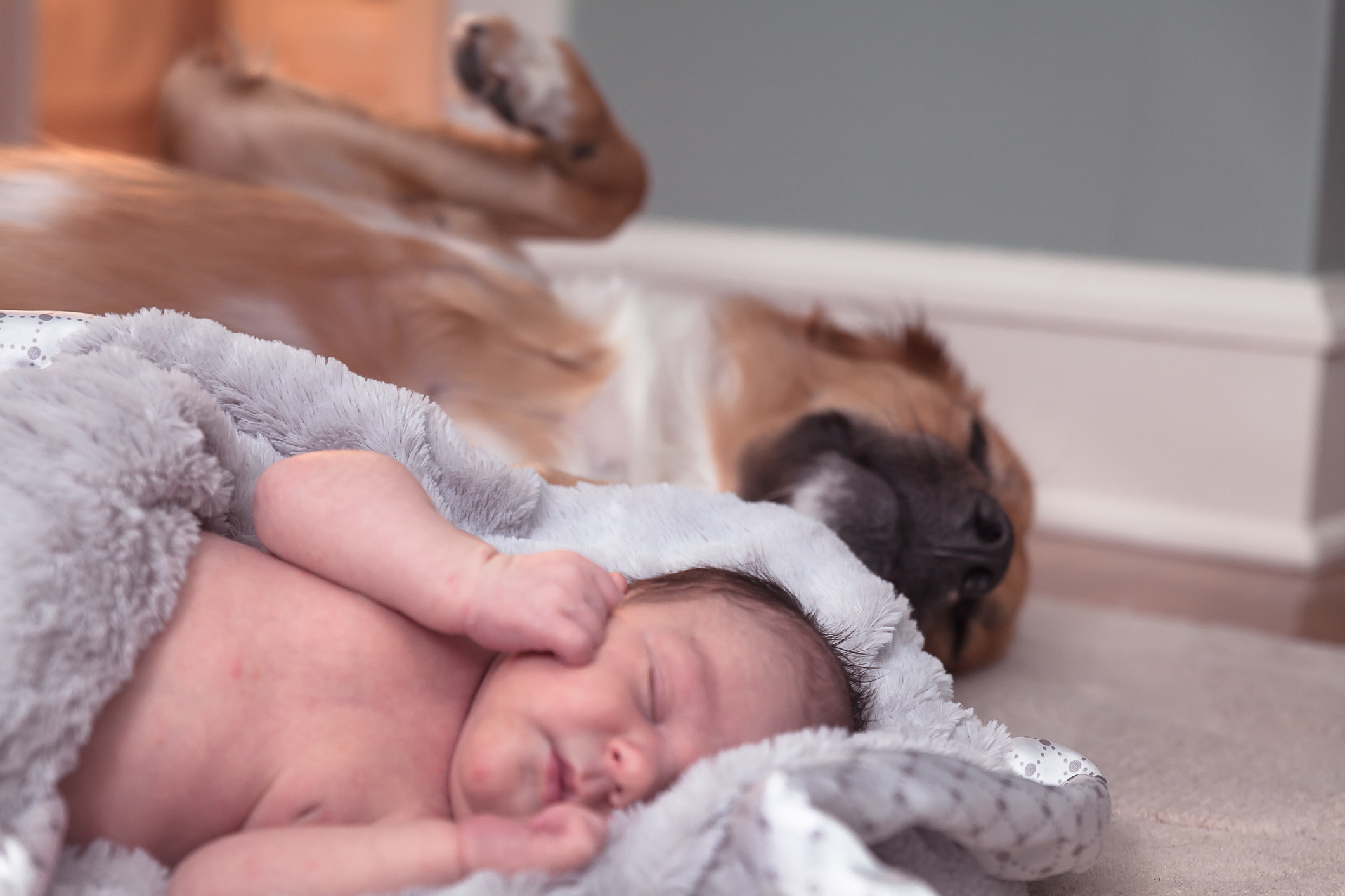 Gintoft (81 of 83).jpg