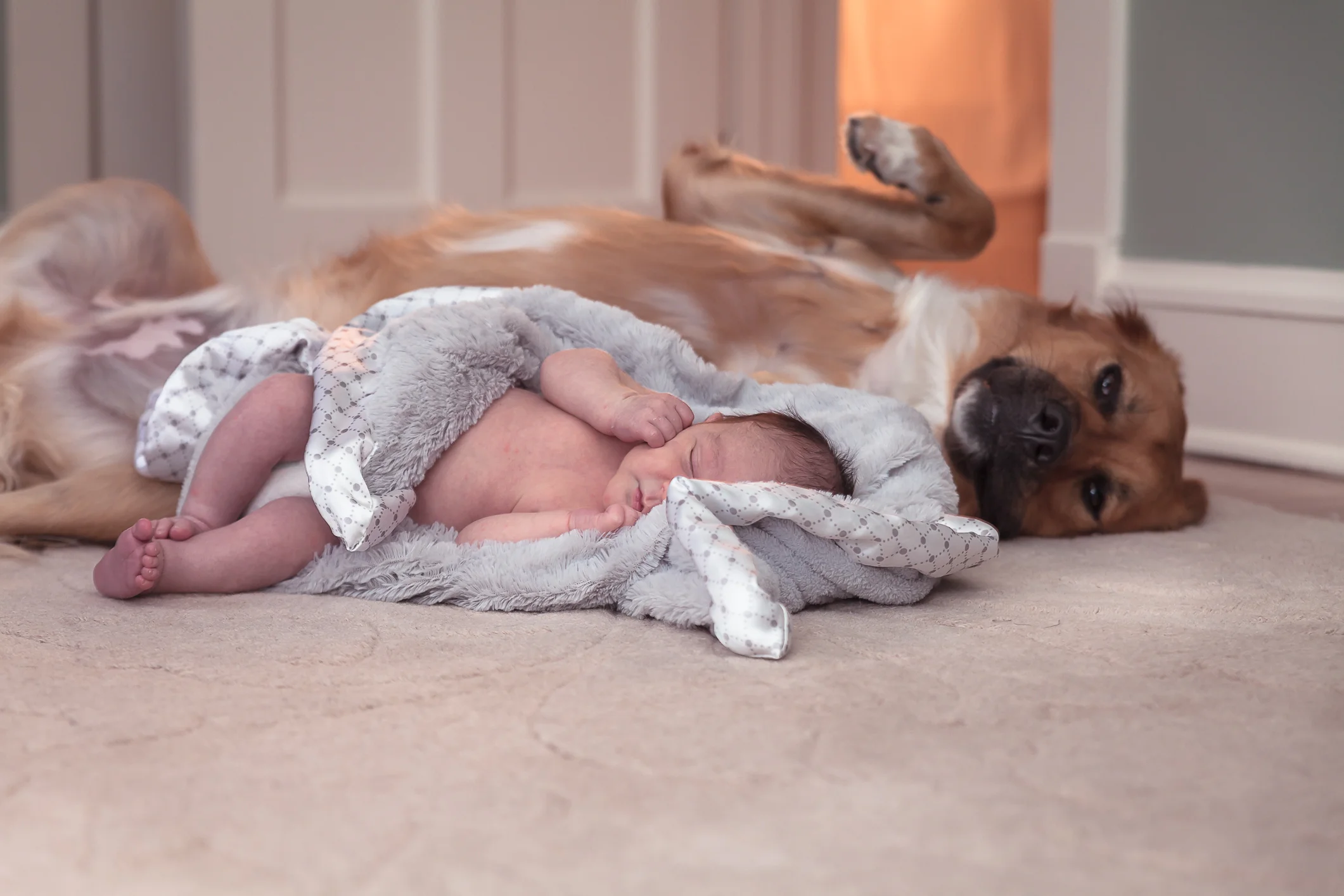 Gintoft (78 of 83).jpg