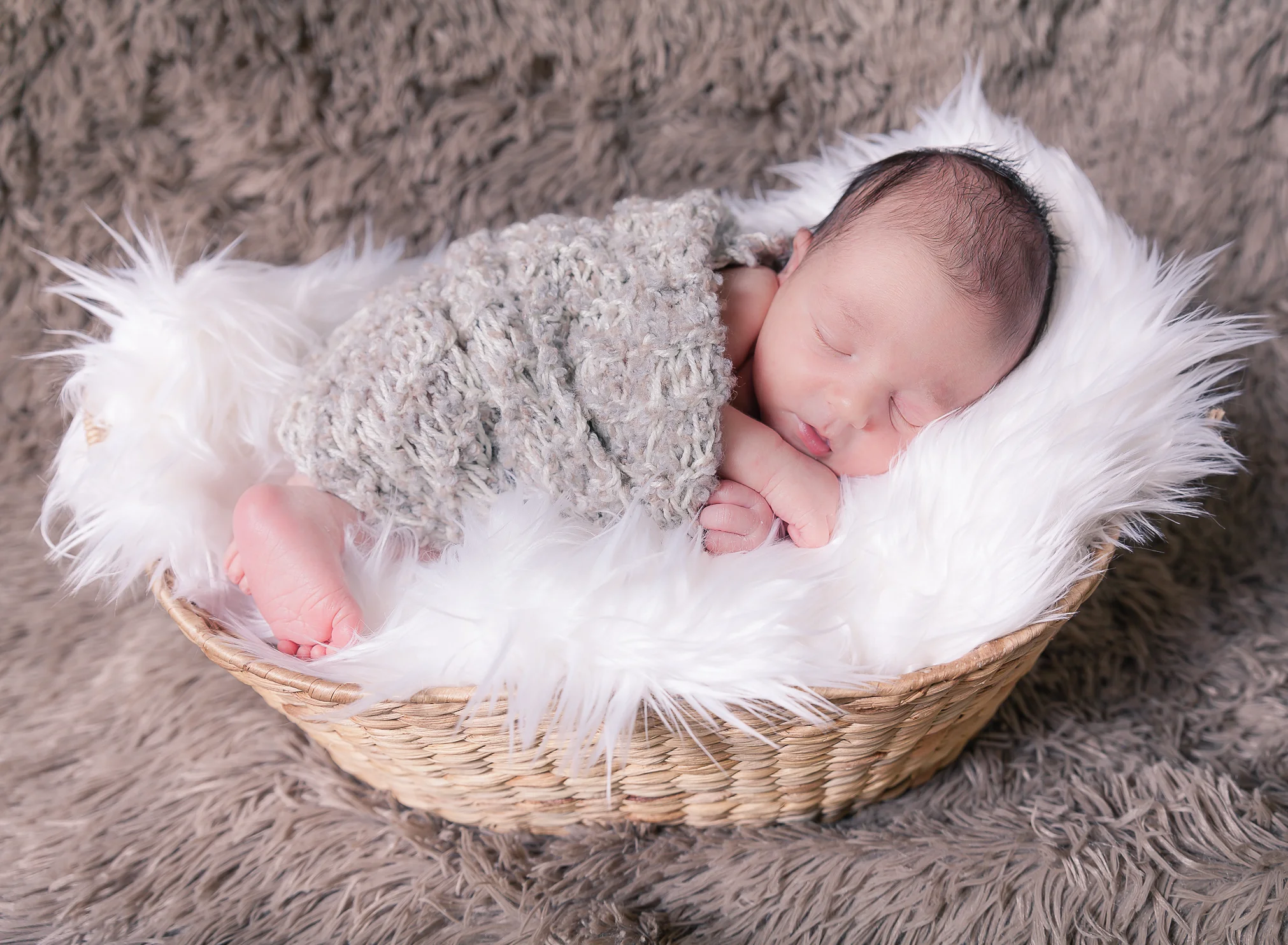 Gintoft (1 of 83).jpg