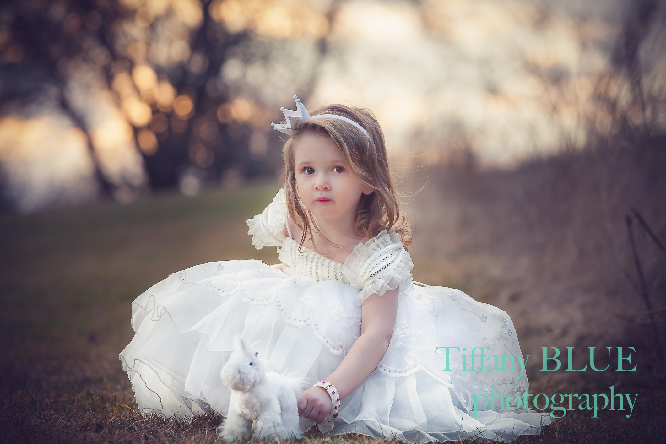 Adventures of Little Princess & Her Unicorn.